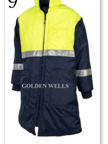 Golden wells antifreeze Coat, freezer wear