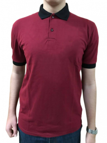 T-shirt, 2 colors burgundy and black
