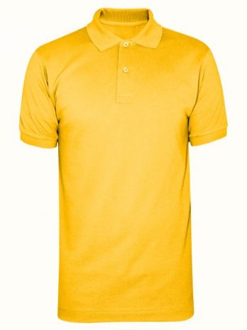 Half sleeve polo t-shirt